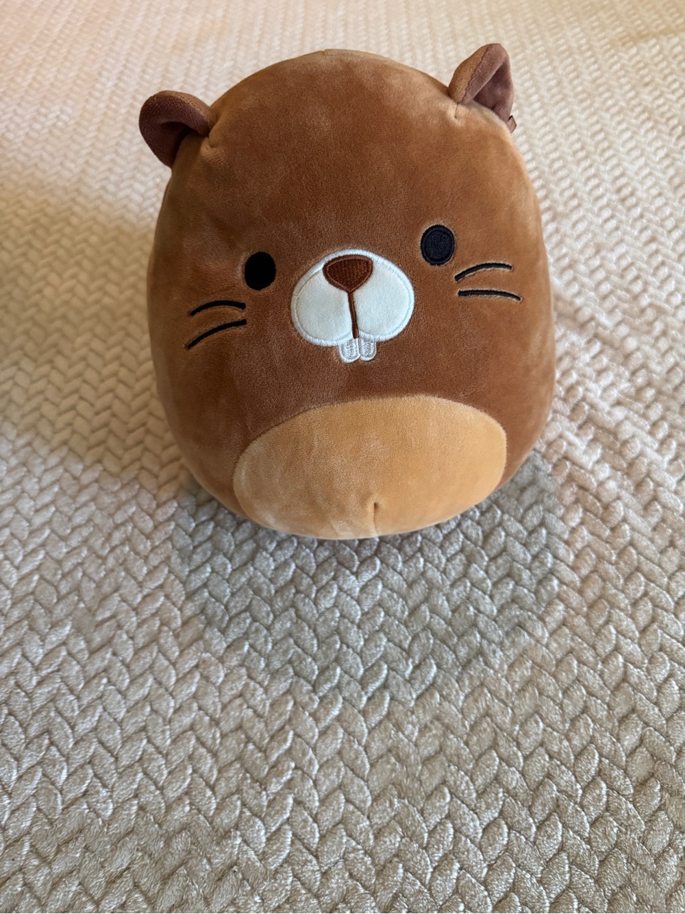 Squishmallows 8 Inch Chip the Beaver Brown Plush Toy Stuffed Animal